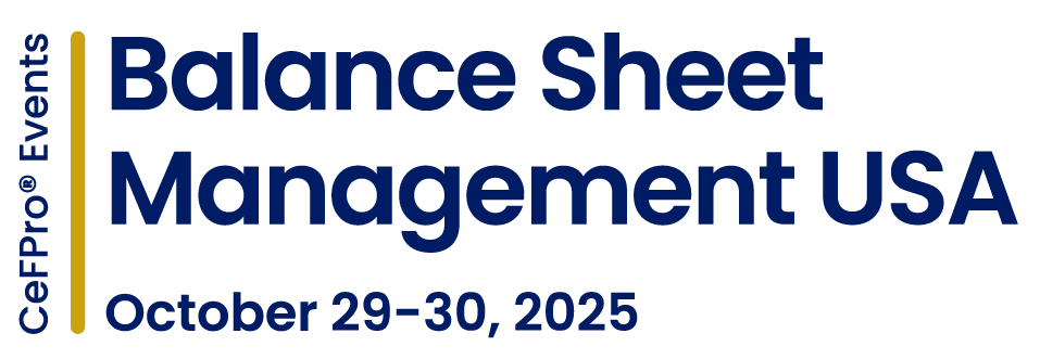 Balance Sheet Management USA